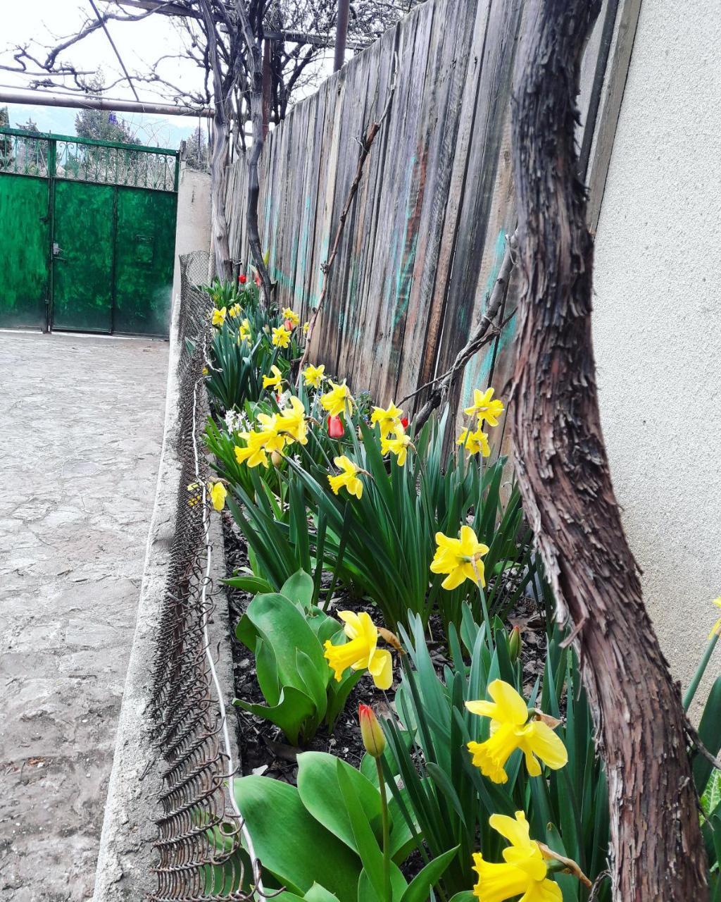 Guesthouse Ttt Tiflis Exterior foto